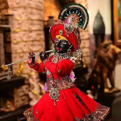 ll कृष्णाश्रई ll profile
