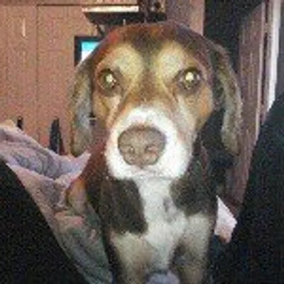 Weensey profile