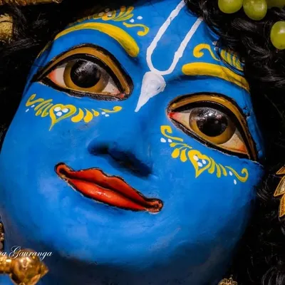Krsna Book profile