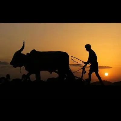 Krushi Farming profile