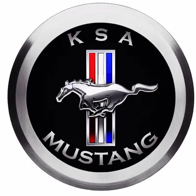 MUSTANG ONLY 💪 profile