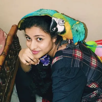 Dr.Sindhu chowdary profile