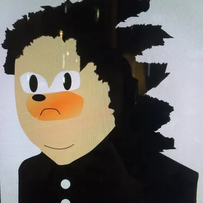 S C H N A I D E R profile