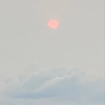 null profile