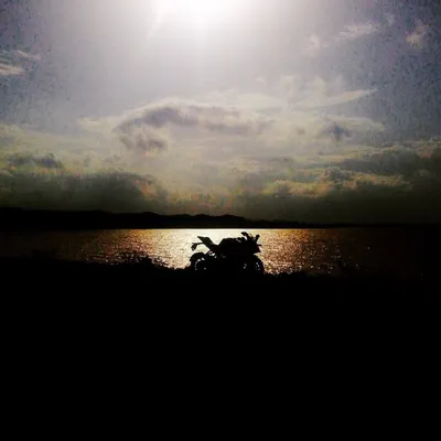 KTM RC Diaries profile