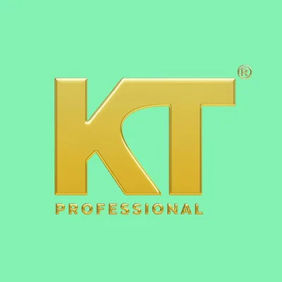 KT Professional profile