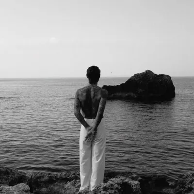 Hardi profile