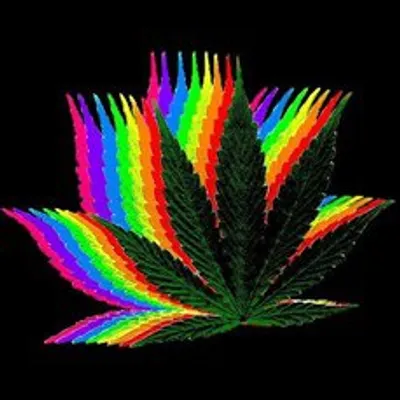 Weed Tweets™ profile