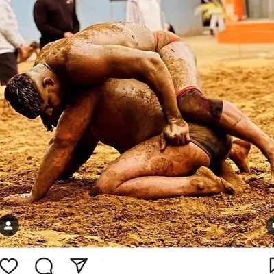 kushti live Himachal profile