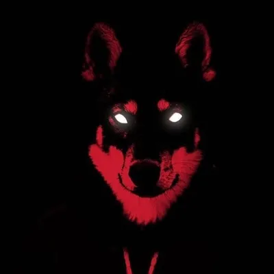Kontra K | Tag1er profile