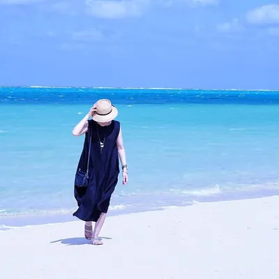 きょこ profile
