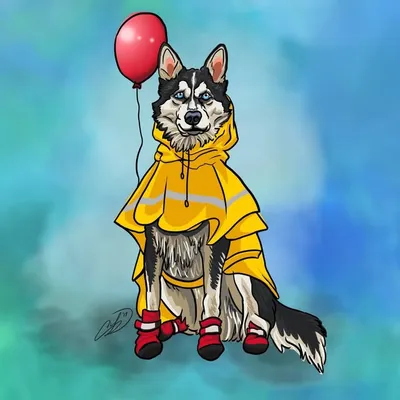 Kyzer the Husky // PNW profile