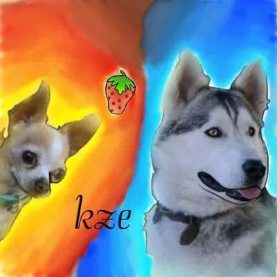 Animal Content | profile
