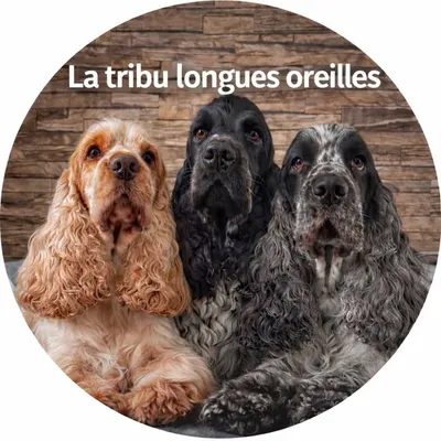 ✨Océane, Pablo & Raffaello & Unit✨ profile