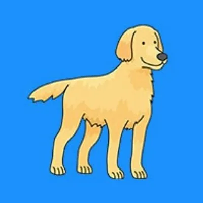The Labrador Countryđź’™ profile