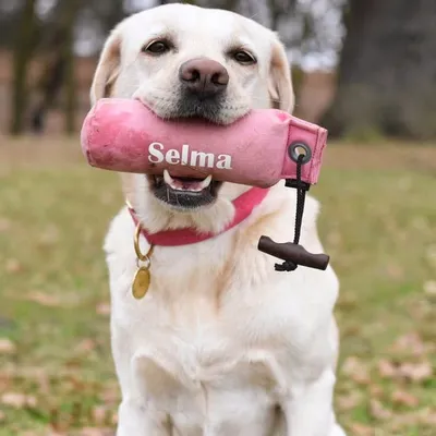 Selma & Poppie ๐พ profile