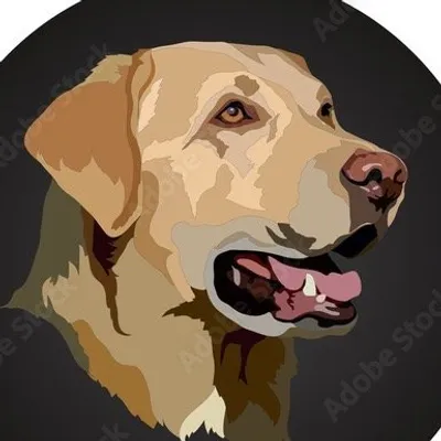 Labradors profile