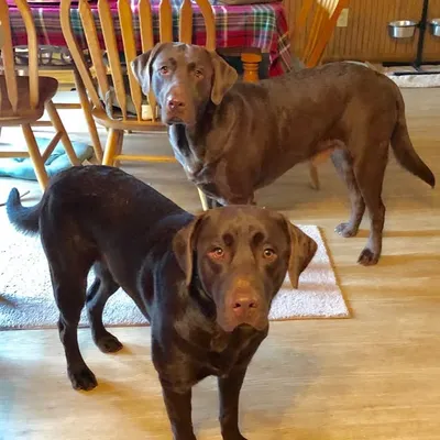 Murphy & Tubbins profile