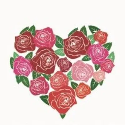 ЦВЕТЫ СПБ/ ДОСТАВКА ЦВЕТОВ СПБ profile