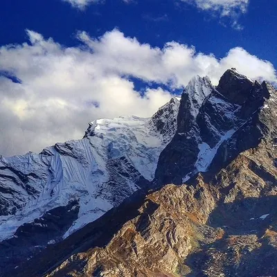 ladakheights profile