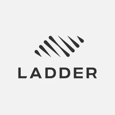 Ladder profile