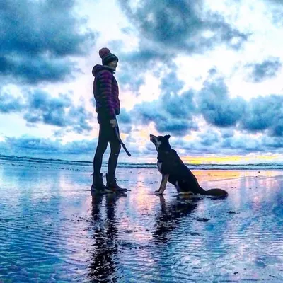 la•duke•b | Bryce LaDuc | Border Collie Dog Mom profile