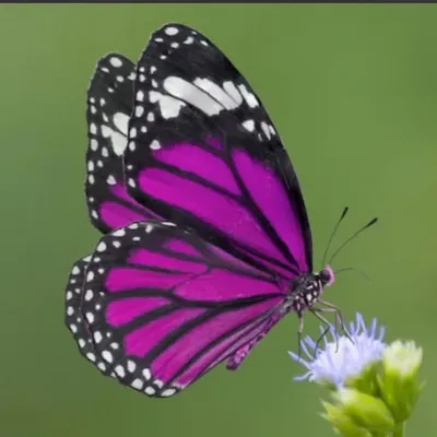 ☀️Zsuzsanna W.🦋 profile