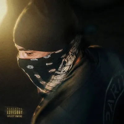 LA FOUINE 78 profile