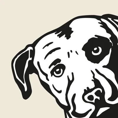 Lagunitas Brasil profile