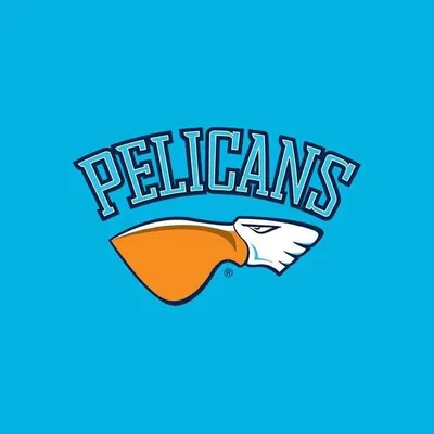 Lahden Pelicans profile