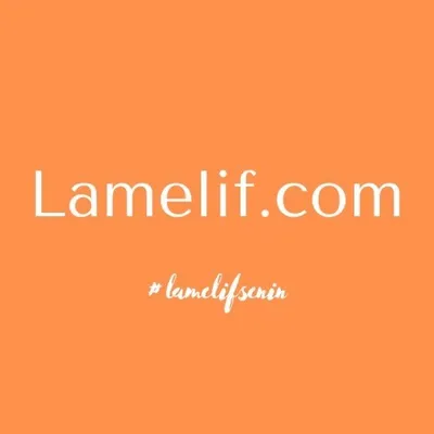 Lamelifgiyim profile
