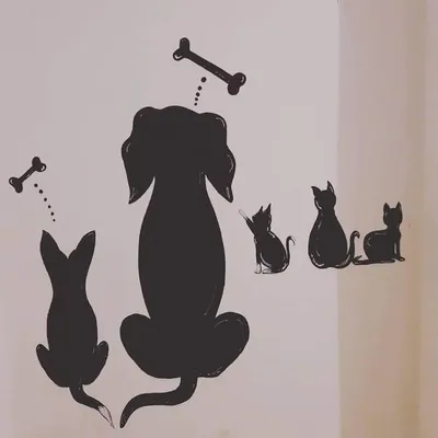 LaMiaVitaTraUnMiaoEUnBau profile