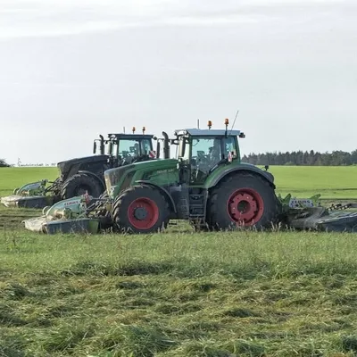 Landwirtschaft in mv profile