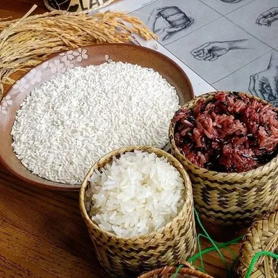 Lao Food Movement profile