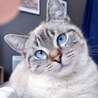 Larry profile