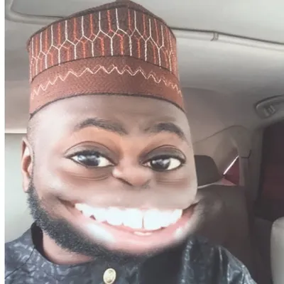 Lasisi Elenu profile