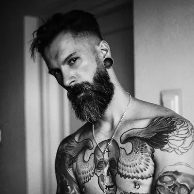 Sandor Bakonyi profile