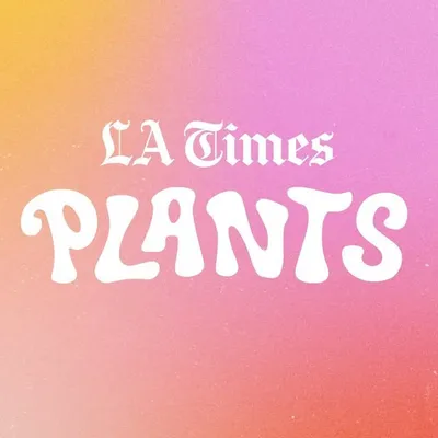 latimesplants profile