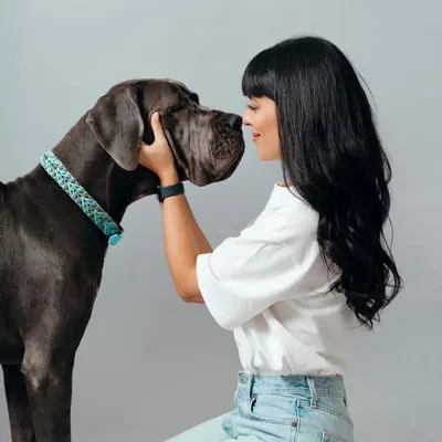 Laura Comolli profile