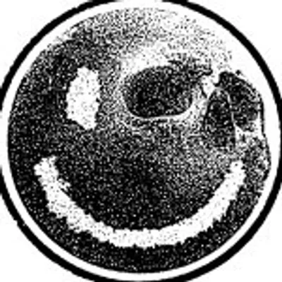 Laura Jane Grace profile