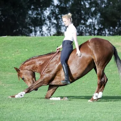 Lauren Allport profile