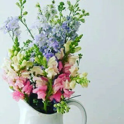 Lavenderhousevintage profile