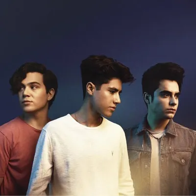 Layl profile