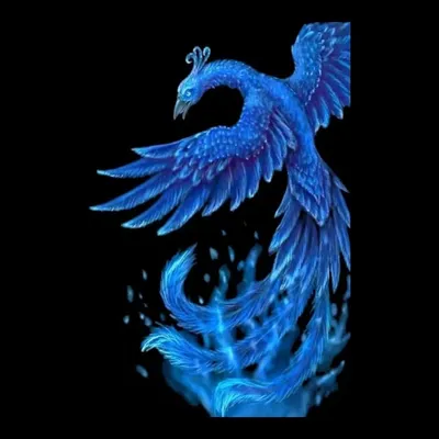 FÊNIX AZUL 💙 profile