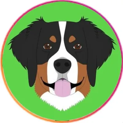 Love Bernese Mountain Dogs | profile