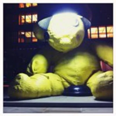 lboydnyc profile