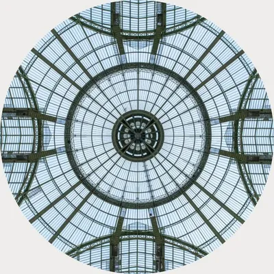 Le Grand Palais profile