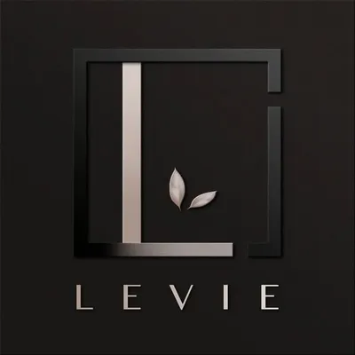 Levie I Wedding Memories profile