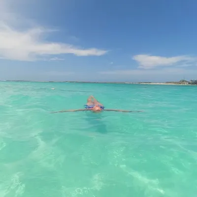 Leader of the Pak ๐พ profile