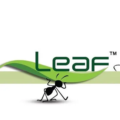 Leaf The Studio profile